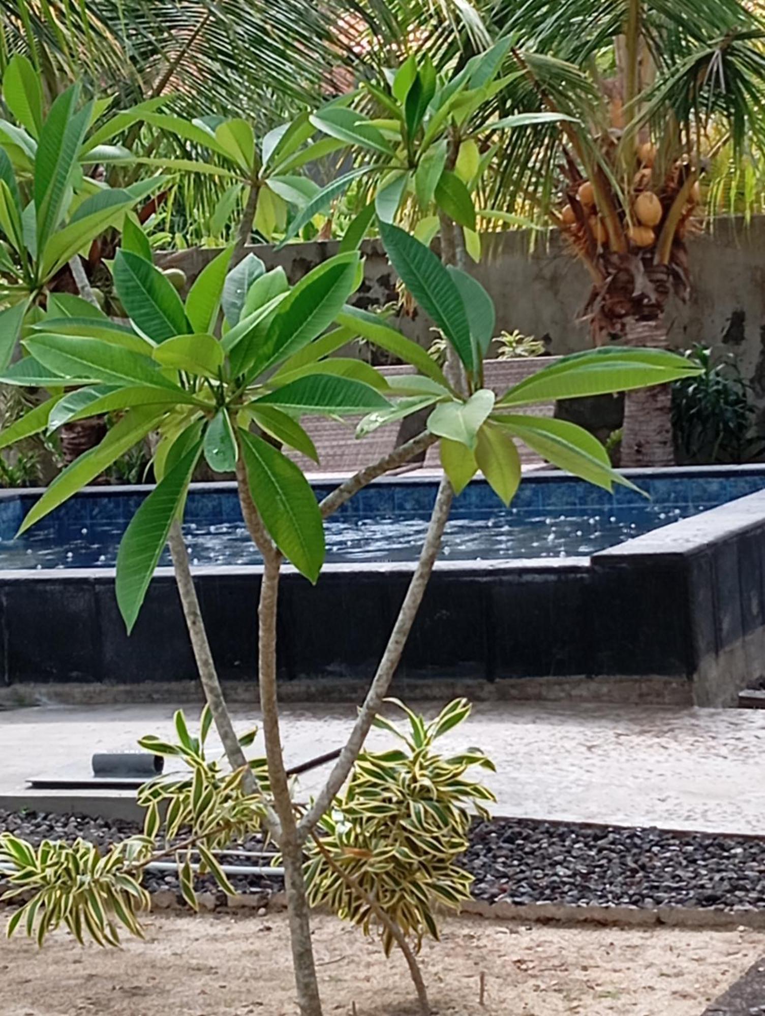 Belong Home Stay Lembongan エクステリア 写真