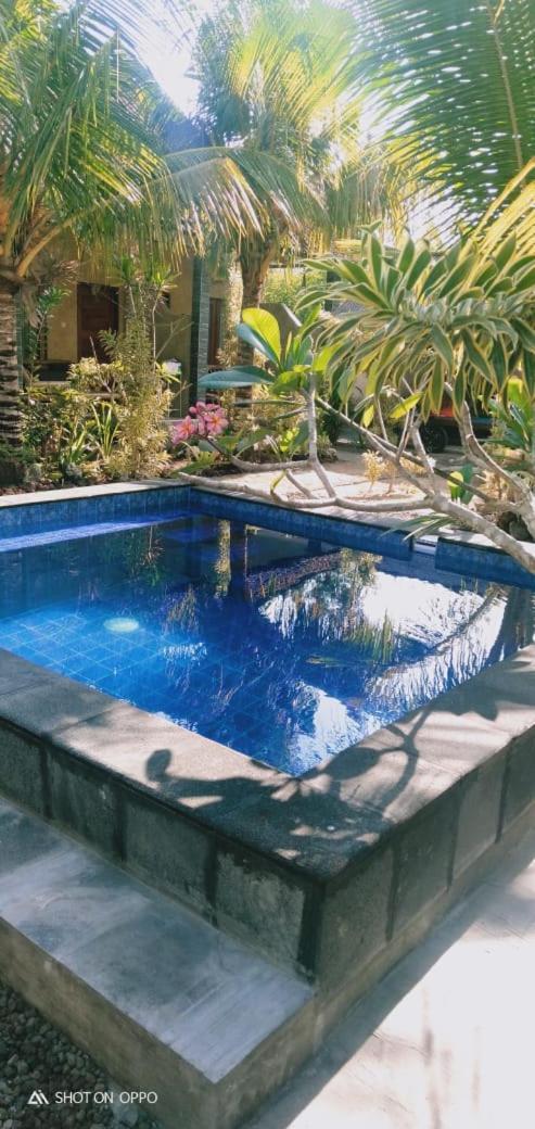 Belong Home Stay Lembongan エクステリア 写真