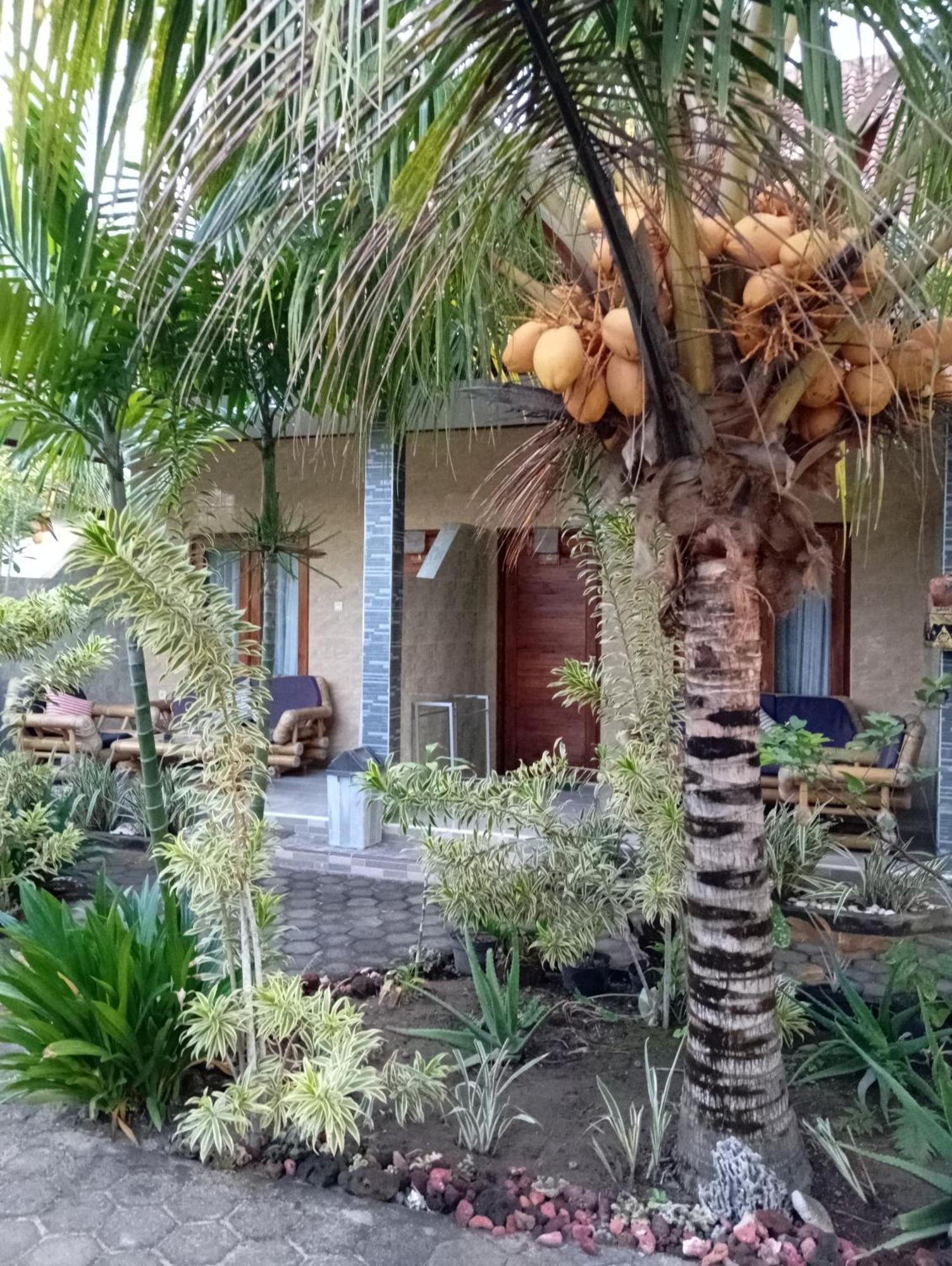 Belong Home Stay Lembongan 部屋 写真